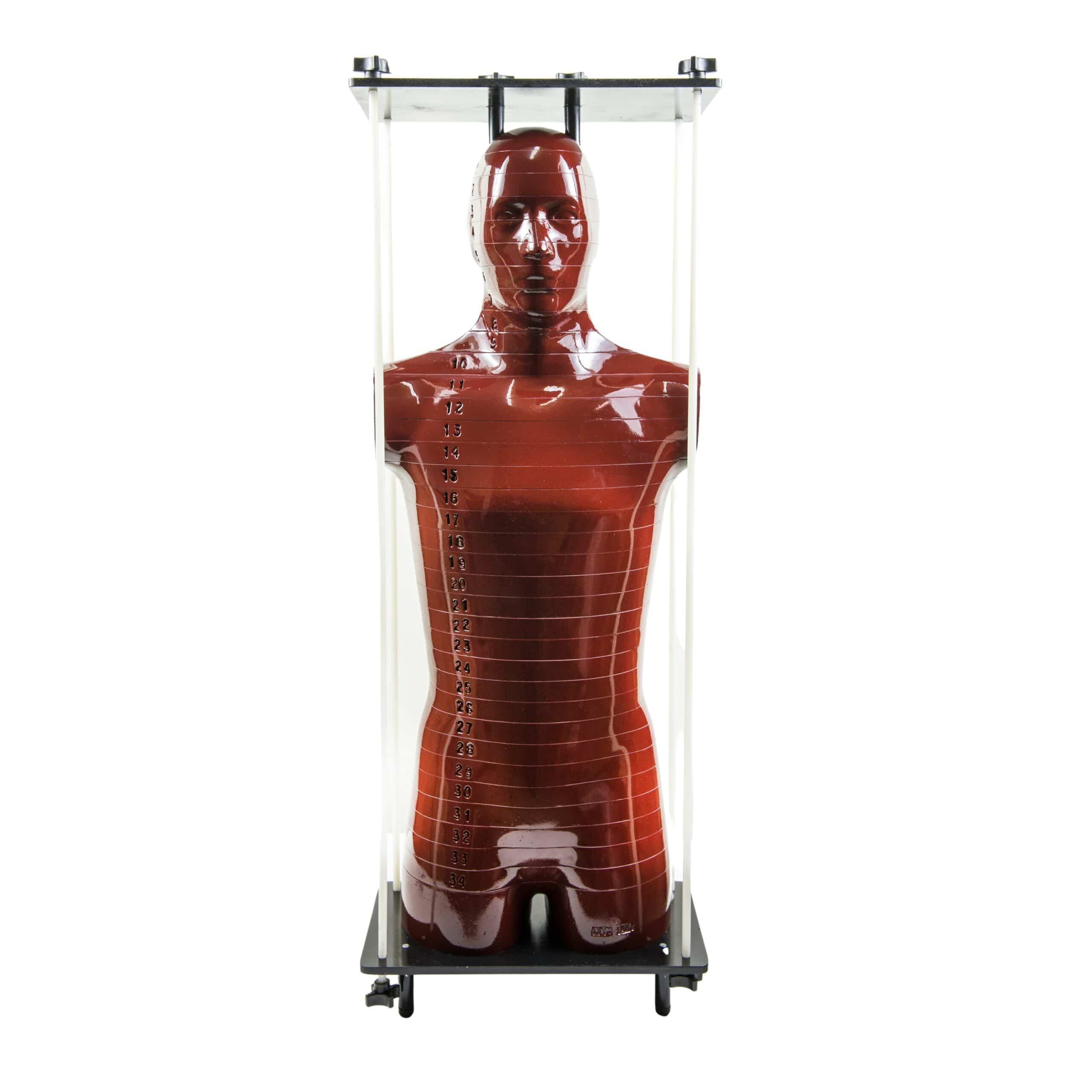 RSD ART Phantom, shown for radiation therapy